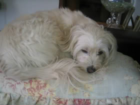 MySweetLilly