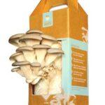 Mushroom Kit