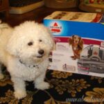 Bissell SpotBot