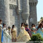The Qualities of a Princess
