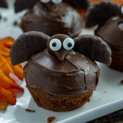 Do you want a delicious and spooky treat just in time for Halloween? Making these Semi-Homemade Bat Cupcakes for Halloween is a fun and creative way to make memories with the kids.