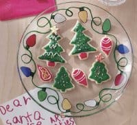 Christmas Craft Bright Lights Cookie Plate