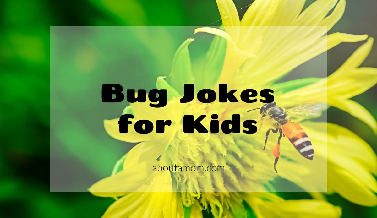 Bug Jokes for Kids