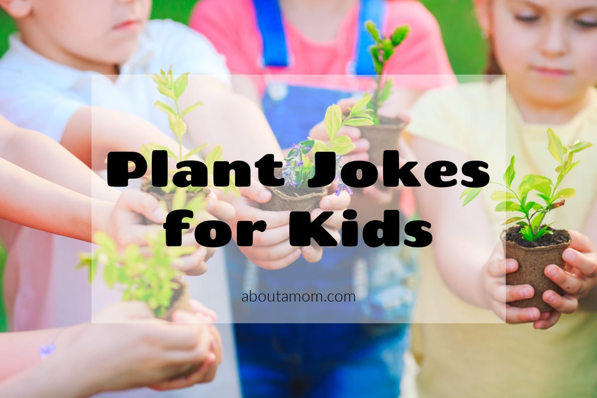Plant Jokes for Kids