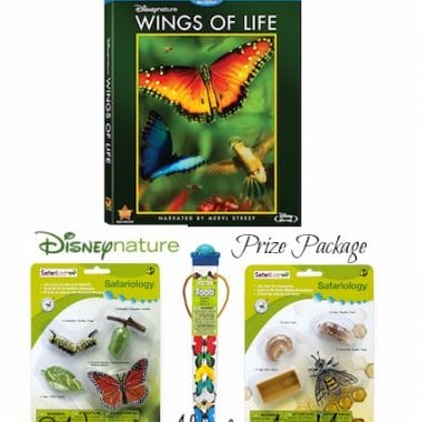Wings of Life Giveaway