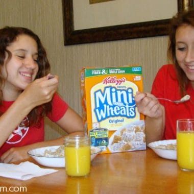 Every Day is a Big Day with Frosted Mini Wheats
