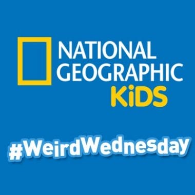 National Geographic Kids Weird but True #WeirdWednesday