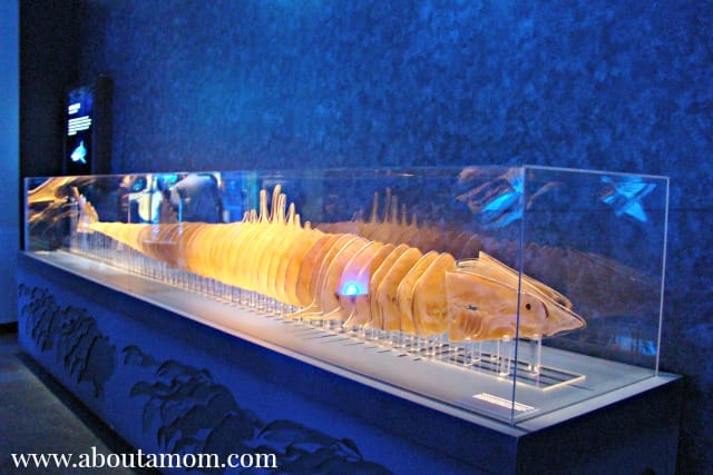 Monsters Revealed Exhibit at Georgia Aquarium