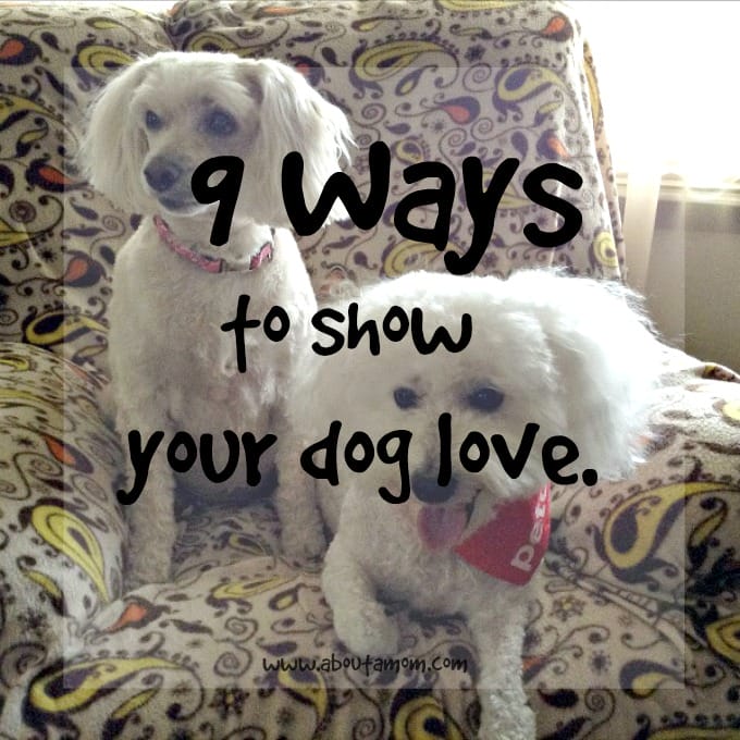 9 Ways to Show Your Dog Love