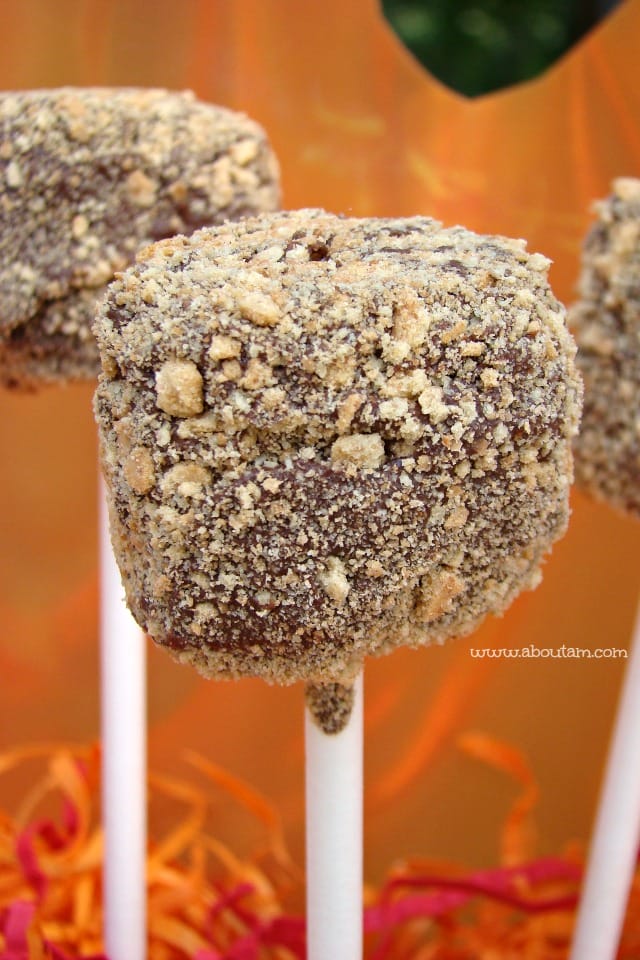 S'mores on a Stick