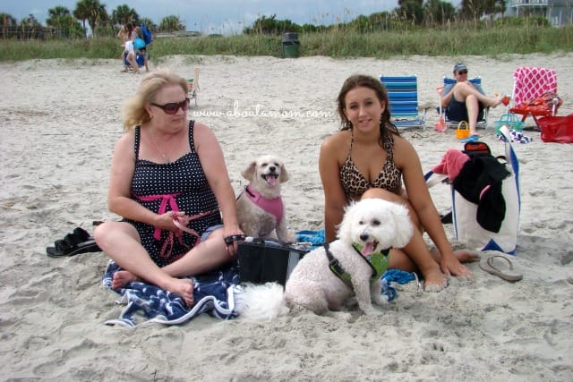 Vacationing with Dogs