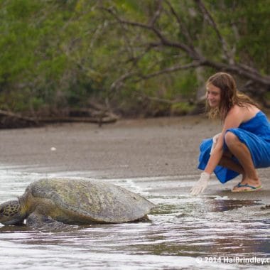 ou Could Win a Family Trip to Costa Rica to Help Save the Sea Turtles