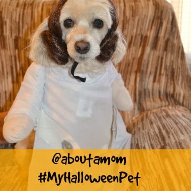 Halloween Pet Costume Contest on About A Mom #MyHalloweenPet