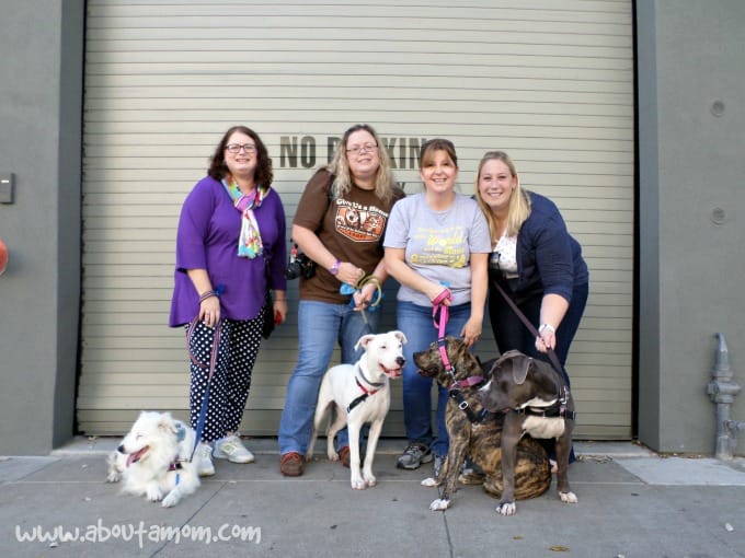 Northern California Family Dog Rescue - Making Happy Families
