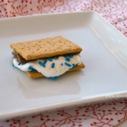 Holiday S'mores Recipe