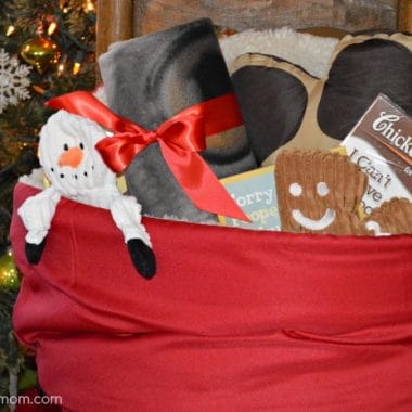 Pet Lovers Holiday Gift Basket from The Lakeside Collection