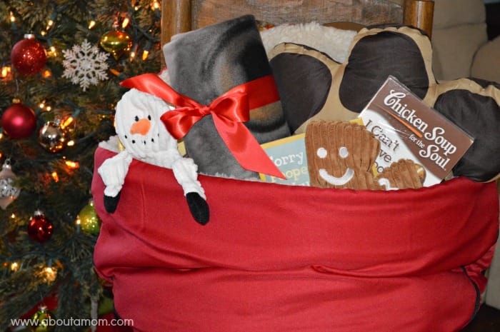 Pet Lovers Holiday Gift Basket from The Lakeside Collection