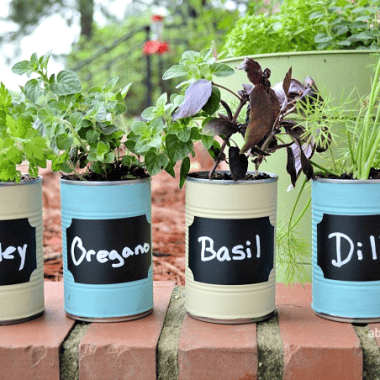 Make this diy kitchen herb garden and always have fresh herbs on hand while you are cooking. This diy herb garden uses upsycled materials and makes a great do-it-yourself Mother's Day gift.