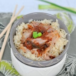 Slow Cooker Asian Pork Recipe