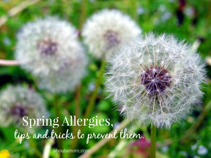 Tips and Tricks to Prevent Spring Allergies