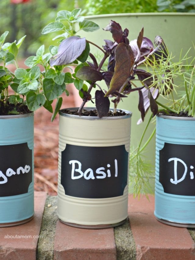 cropped-This-DIY-Kitchen-Herb-Garden-is-a-great-upcycled-gardening-project.-Plus-it-would-be-a-sweet-Mothers-Day-gift-2.jpg