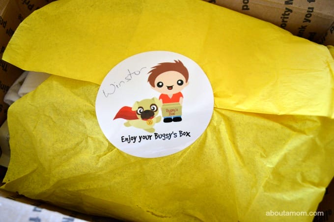 Treat Your Dog to a Bugsy's Box Pet Subscription Box