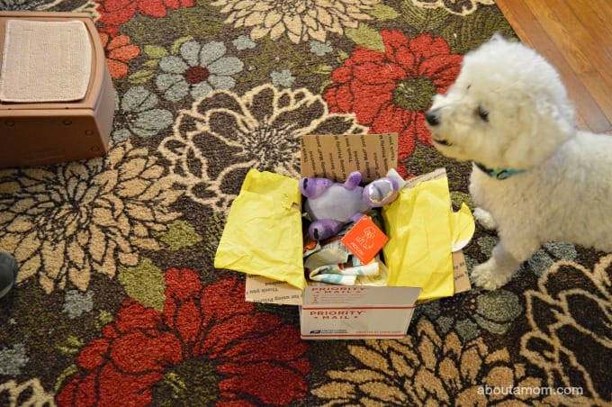 Bugsy's Box Subscription Box is a Real Treat for Dogs