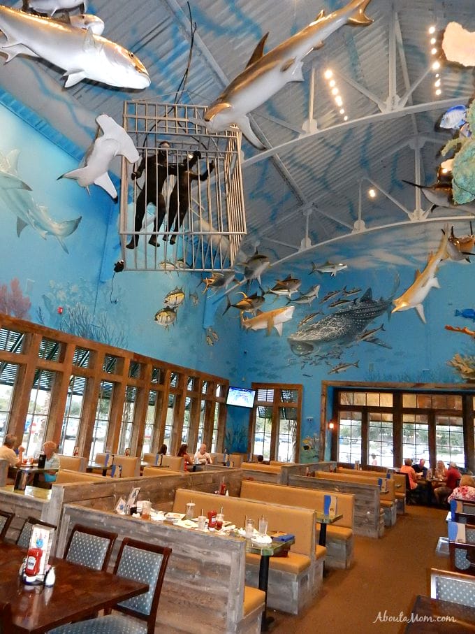 Uncle Buck's Fishbowl and Grill in Destin