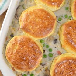 This classic, southern chicken and biscuits casserole is perfect for your leftover chicken or Thanksgiving turkey. A colorful medley of vegetables in a creamy sauce and topped with biscuits, this casserole is a complete meal.