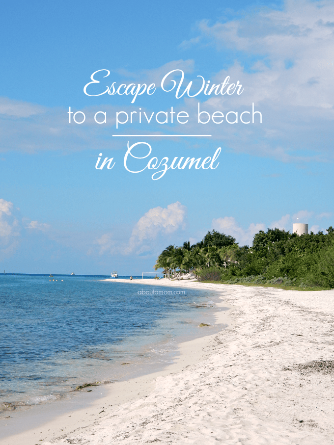 Winter is the perfect time to go on a cruise, and a private beach excursion in Cozumel is the ultimate winter escape. Relax and enjoy the beach.