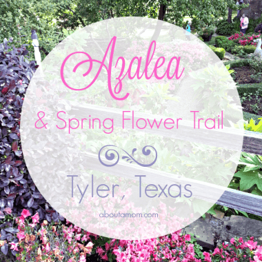 Each year, during late March and early April, something magical happens in East Texas. Bursting with blooms, the 10-mile long Tyler Texas Azalea Trail is most definitely the highlight of the spring season in East Texas.