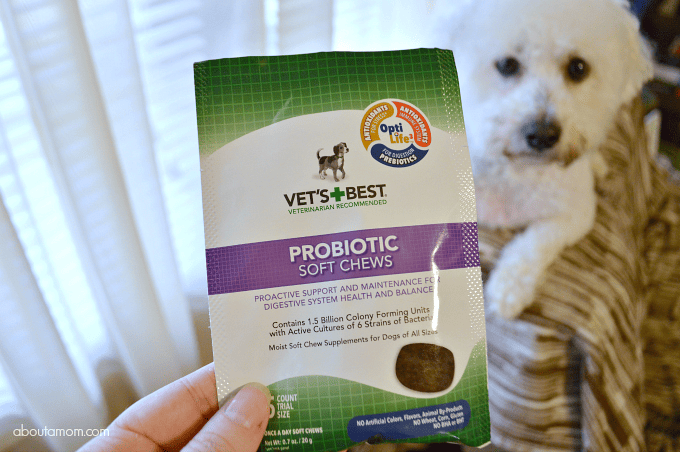 Spring Dog Care Essentials - Vet's Best Probiotic Soft Chews