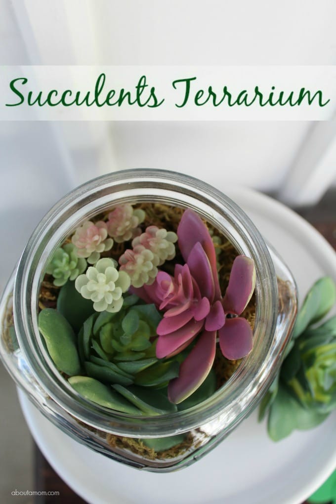 Succulents Terrarium- dollar store crafts