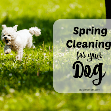 Spring Cleaning for your Pets