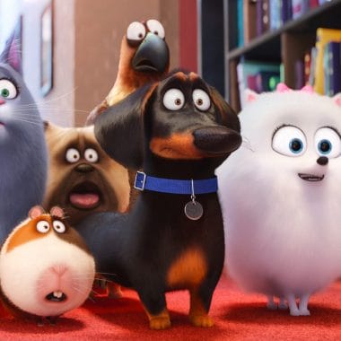 This holiday season, the answer to the question “Ever wonder what your pets do when you’re not home?” is answered when you get The Secret Life of Pets on DVD, Blu-ray and Digital HD. Coming soon!
