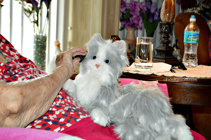 This holiday season give aging loved ones the gift of joy and companionship with Hasbro's Joy for All Companion Pets. Joy for All Companion Pet cats look, feel, and sound like real cats, providing realistic pet companionship to seniors.