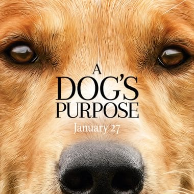 Every dog has a purpose. See A Dog's Purpose in theaters everywhere on January 27, 2017. Starring Britt Robertson, KJ Apa, John Ortiz, with Dennis Quaid and Josh Gad.
