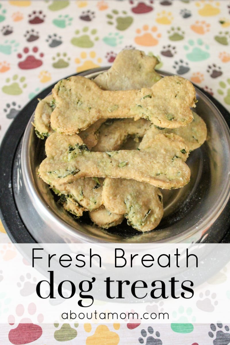 Does your dog have bad breath? This recipe for homemade fresh breath dog treats contains wholesome ingredients, and comes together easily. Dog bad breath treats are an absolute must, especially if you have a dog that likes to give kisses. 