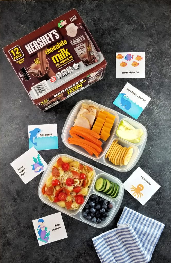 Tis the season for back to school and lunch packing! School day mornings can be a little hectic. Make the morning rush a little easier with these back to school lunch ideas and printable lunchbox notes.