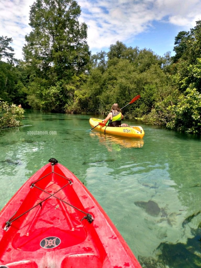 Seeking outdoor fun on the west coast of Florida? Check out these tips to plan your next outdoor adventure kayaking the Weeki Wachee River in Florida. Located just an hour north of Tampa, the spring fed Weeki Wachee River is crystal clear and easy downstream trip for beginner paddlers. 