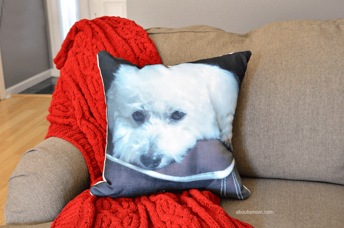 Photo gifts for pet lovers. Personalized photo gifts are ideal for friends and family who adore their 4-legged family members. Give the gift of cuteness.