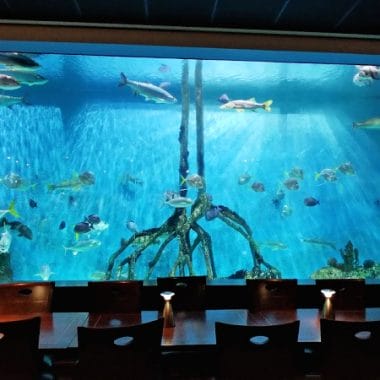 With a 33,500 gallon aquarium that covers an entire wall of the dining room, Guy Harvey's RumFish Grill & Bar in St. Pete Beach, FL, offers diners a unique experience. The menu boasts a fresh selection of cutting edge seafood, pasta, meat and poultry. Don't miss the decadent desserts while you're there or just stop in to enjoy one of two bars.