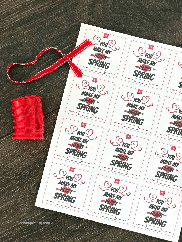 You Make My Heart Spring Valentine Printable. Just print, cut out and attach to a small spring toy. This is the perfect Valentine for kids to hand out to the class.