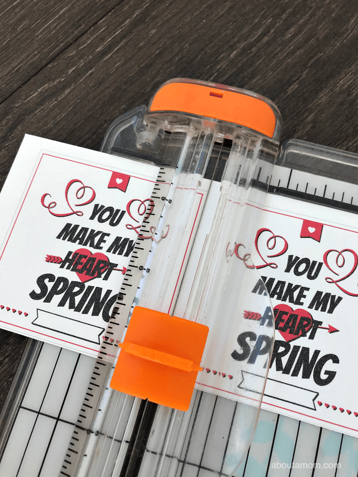 You Make My Heart Spring Valentine Printable. Just print, cut out and attach to a small spring toy. This is the perfect Valentine for kids to hand out to the class.