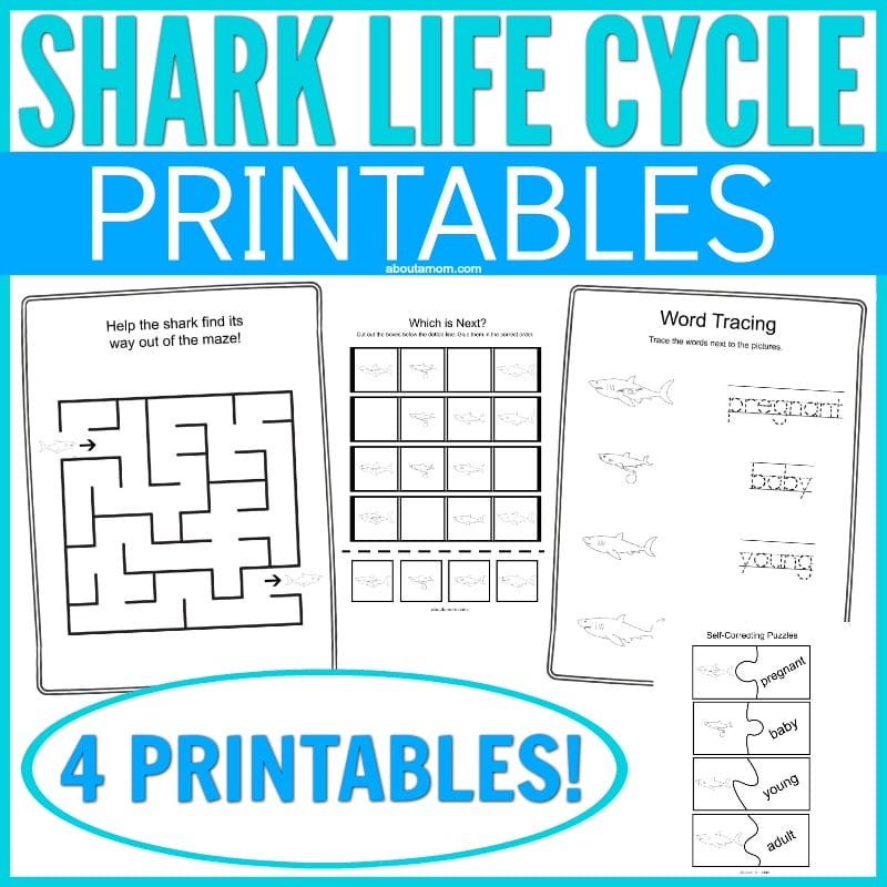 This simple Shark Life Cycle Printable is a fun way to teach kids about biology and the life cycle of a shark. So simple, kids will have fun while learning this simple STEM subject. This is a perfect Discovery Channel Shark Week activity or under the sea supplement to your homeschooling curriculum.