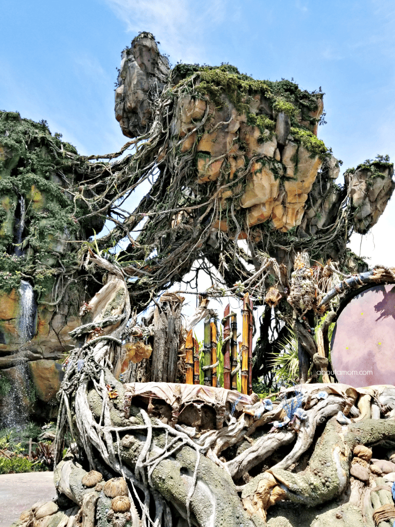 The Best Things to to Do at Pandora  The World of Avatar