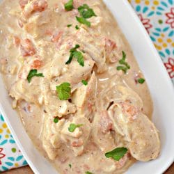 Looking for an easy keto chicken recipe? This delicious keto Instant Pot Queso chicken is fast to make and has amazing flavors. Dinner is ready "start to finish" in 40 minutes. You're going to love this easy low-carb keto recipe!