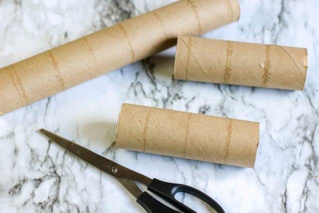 paper towel rolls cut in half