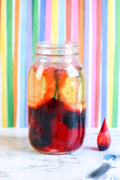 DIY Lava Lamp Stem Experiment - About a Mom
