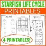 Get these fun Starfish Facts and Life Cycle Printables. A simple and fun way to bring a biology lesson to your kids. Kids will love learning about starfish with these fun free printables.